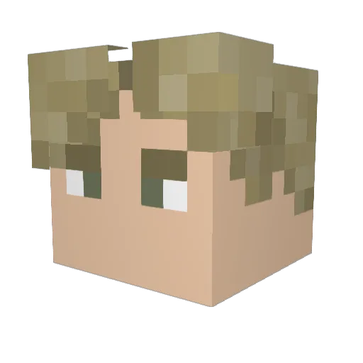 Yeetus6921 Minecraft avatar head, 3D render