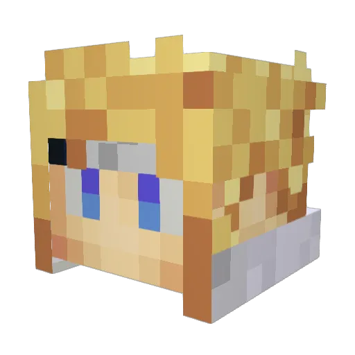 YeetusDTFeetus Minecraft avatar head, 3D render