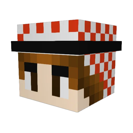 YeetusLaFeetus Minecraft avatar head, 3D render
