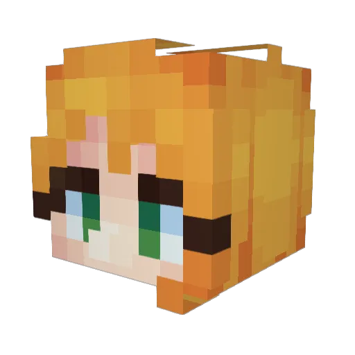 Yeetusfeetus602 Minecraft avatar head, 3D render