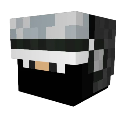 Yeety001 Minecraft avatar head, 3D render