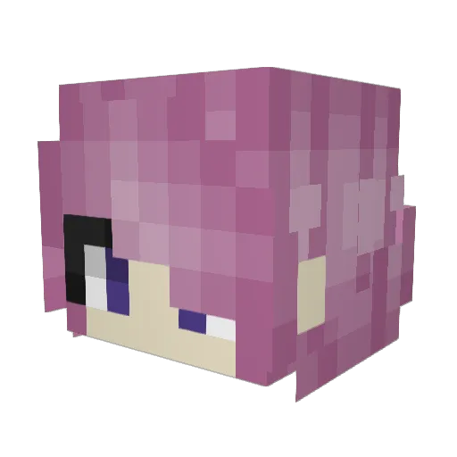 YeetyBirdd Minecraft avatar head, 3D render