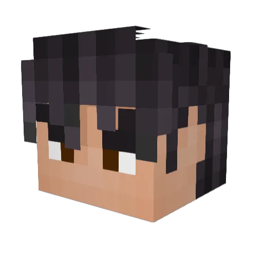 Yeezyboost35O Minecraft avatar head, 3D render