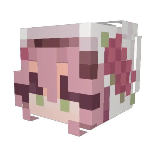 Yella__ Minecraft avatar head, 3D render