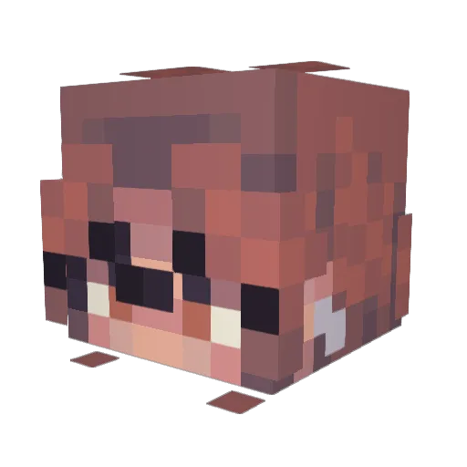 YelloFailures Minecraft avatar head, 3D render