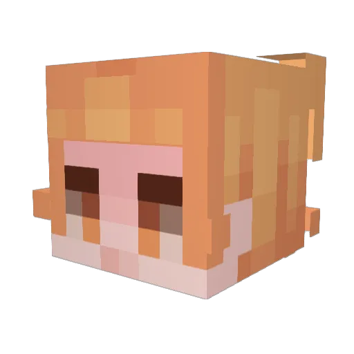 Yellow134 Minecraft avatar head, 3D render