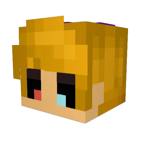 YellowBear1983 Minecraft avatar head, 3D render