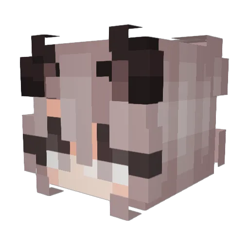 YellowDucky322 Minecraft avatar head, 3D render