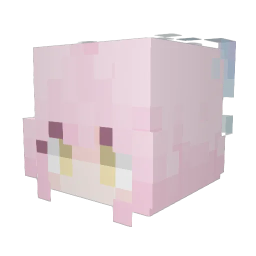 YellowSky117 Minecraft avatar head, 3D render