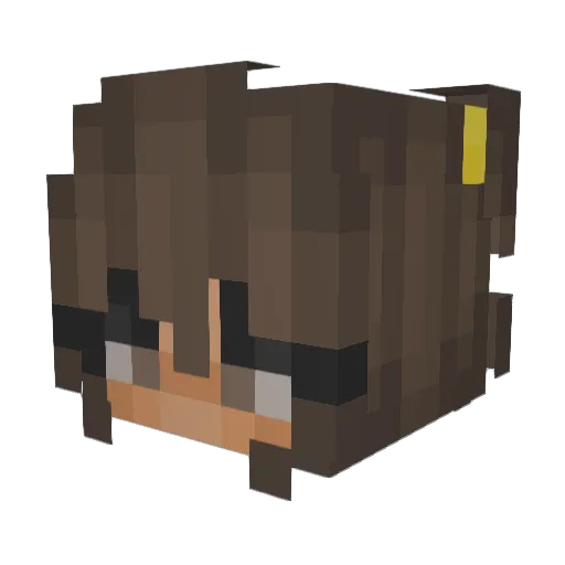 YellowWolf24 Minecraft avatar head, 3D render