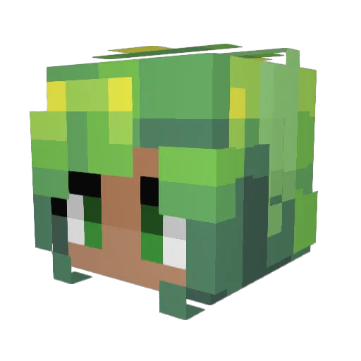Yellow_DOg1489 Minecraft avatar head, 3D render