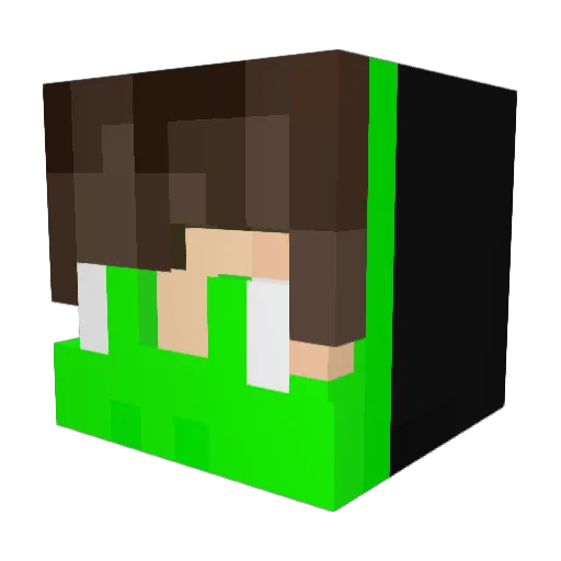 Yellow_Dolphin Minecraft avatar head, 3D render