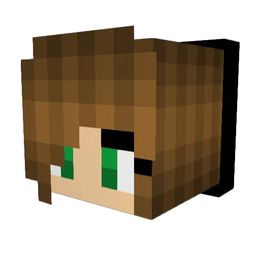 Yellow_Kestrel Minecraft avatar head, 3D render