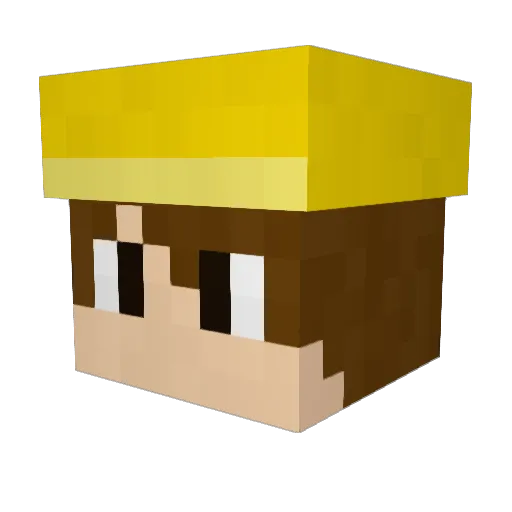Yellowboy456 Minecraft avatar head, 3D render
