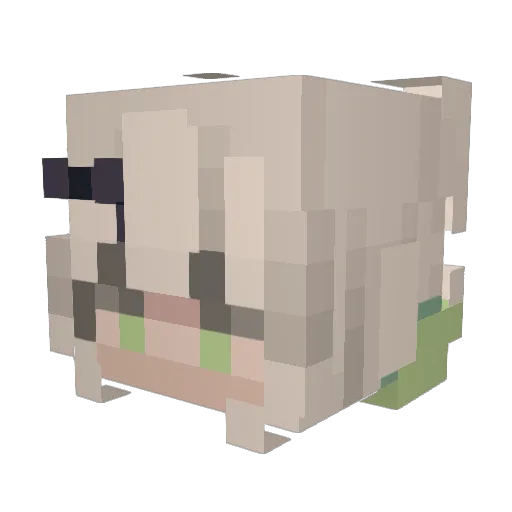 Yellowfang15 Minecraft avatar head, 3D render