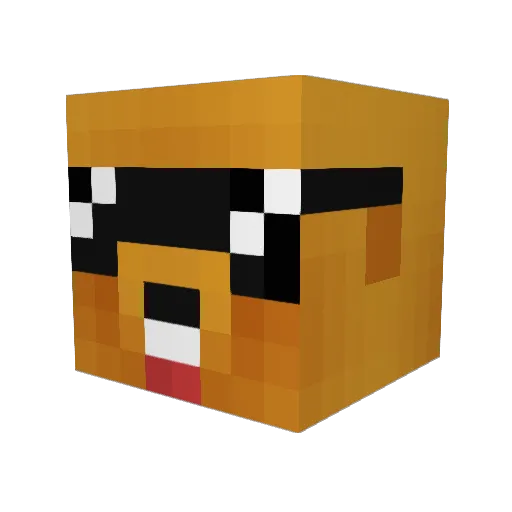 Yellowpuppy6 Minecraft avatar head, 3D render