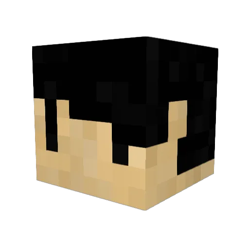 Yellowzm Minecraft avatar head, 3D render