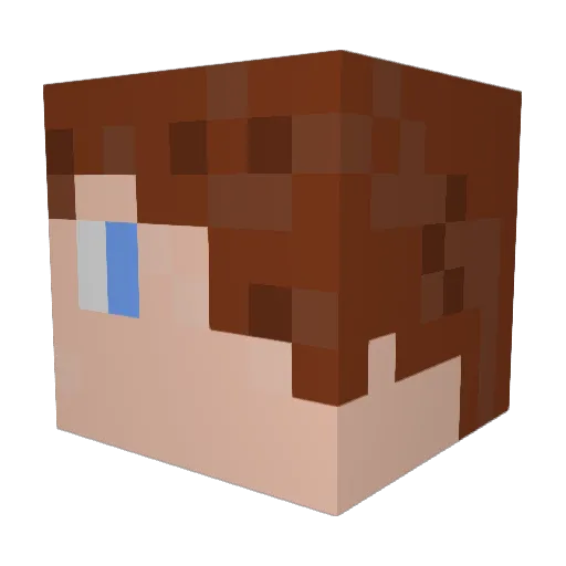 Yelness123 Minecraft avatar head, 3D render