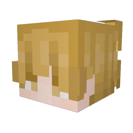 Yelty_ Minecraft avatar head, 3D render