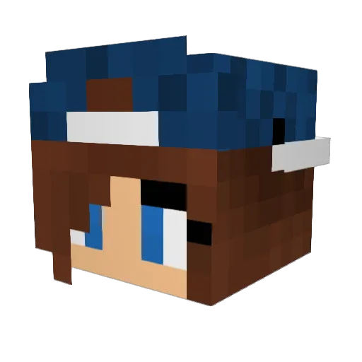 Yemms Minecraft avatar head, 3D render
