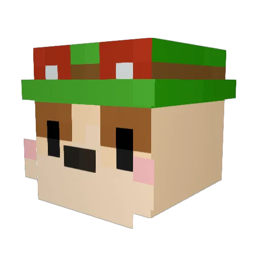 Yemtorii Minecraft avatar head, 3D render
