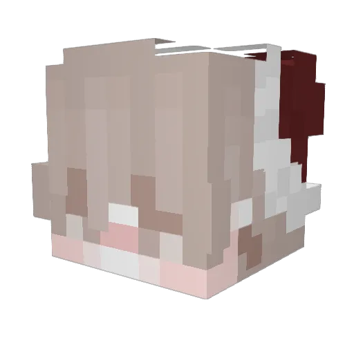 Yenagrr Minecraft avatar head, 3D render