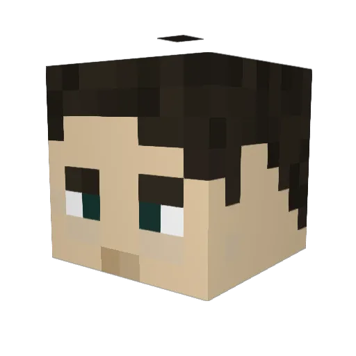 Yenn099 Minecraft avatar head, 3D render