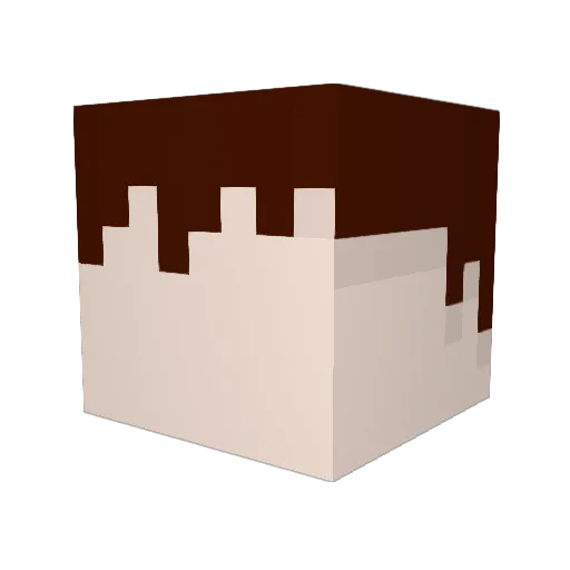 Yenovulp Minecraft avatar head, 3D render