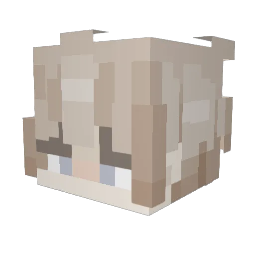 Yeojnie Minecraft avatar head, 3D render