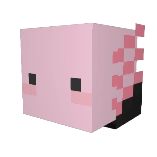 Yeonong_ Minecraft avatar head, 3D render