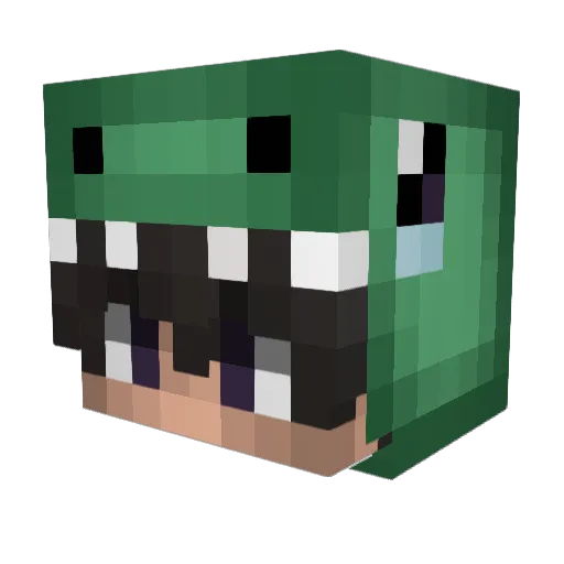 Yerf8 Minecraft avatar head, 3D render