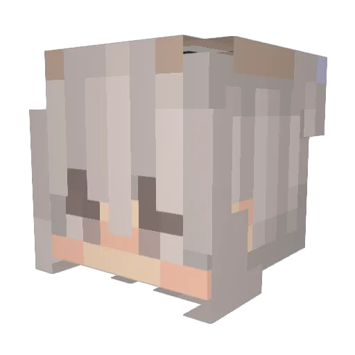 Yeriberrie Minecraft avatar head, 3D render