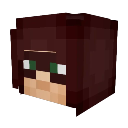 YesHaxNoSkill Minecraft avatar head, 3D render