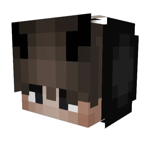 YesImCopyright Minecraft avatar head, 3D render
