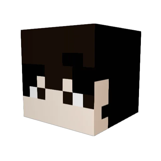 Yeshan3 Minecraft avatar head, 3D render