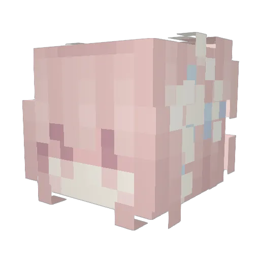 Yestodayyy Minecraft avatar head, 3D render