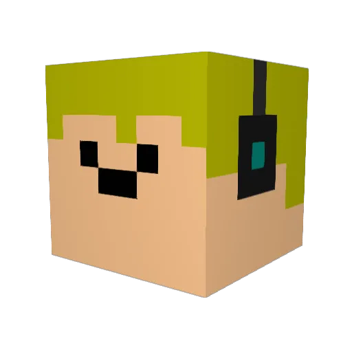 Yetimaster7890 Minecraft avatar head, 3D render