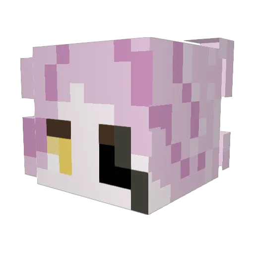 Yetoaster Minecraft avatar head, 3D render