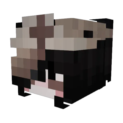 Yevynn Minecraft avatar head, 3D render