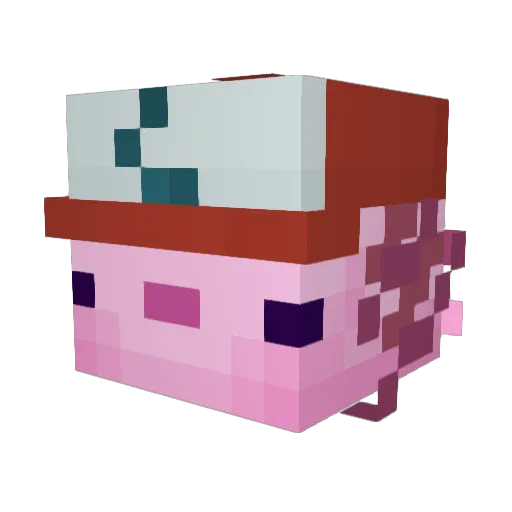 Yeyooo1701 Minecraft avatar head, 3D render