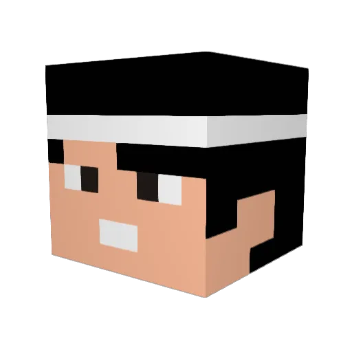 Ygor098 Minecraft avatar head, 3D render