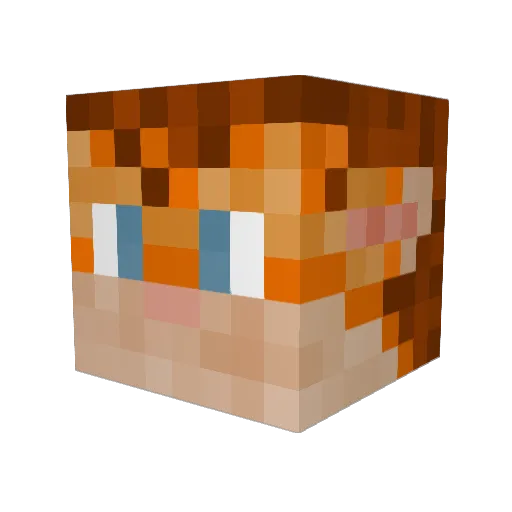 Yiffin Minecraft avatar head, 3D render