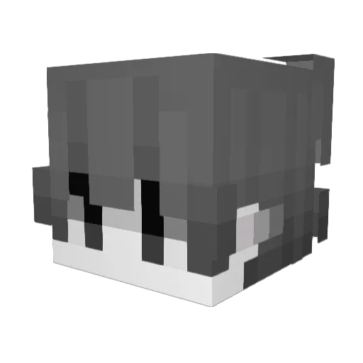 Yilwoo Minecraft avatar head, 3D render