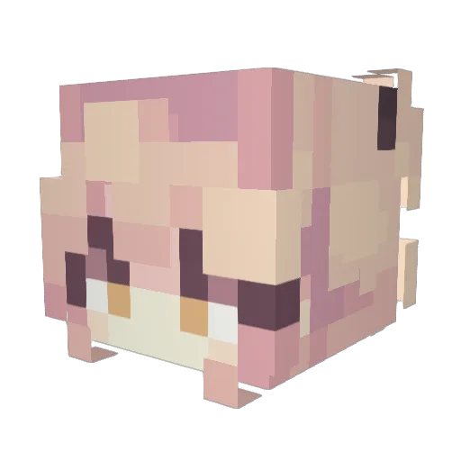 Yim_XD Minecraft avatar head, 3D render