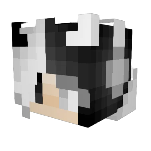 Yin1192 Minecraft avatar head, 3D render