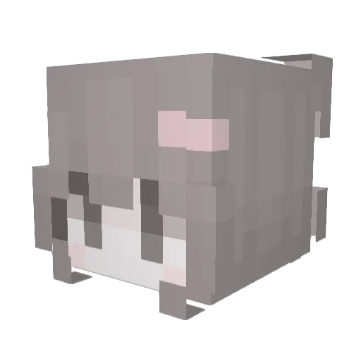 Yin1314 Minecraft avatar head, 3D render