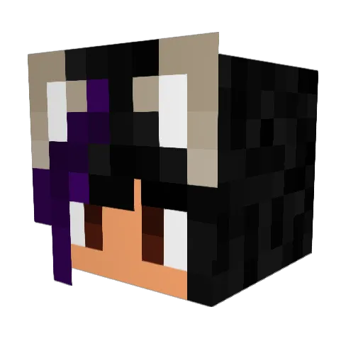 YinTheShadow Minecraft avatar head, 3D render