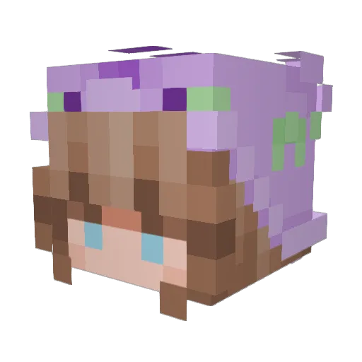 YipeeWasTaken Minecraft avatar head, 3D render