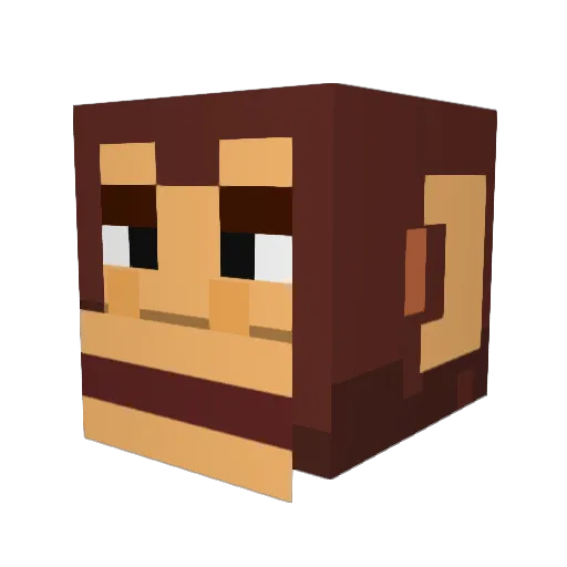 Yipper_ Minecraft avatar head, 3D render