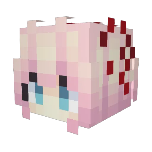 Yiran_Also Minecraft avatar head, 3D render